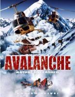  /   / Nature Unleashed: Avalanche (2004)