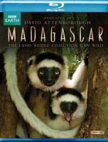  / Madagascar (2011)