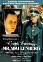  ,   / God afton, Herr Wallenberg (1990)