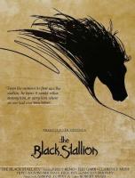   / The Black Stallion (1979)