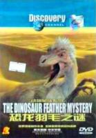  -   / Dinosaurs - Feather Mystery (2008)