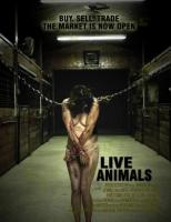   / Live Animals (2008)