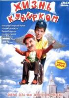  (2003)