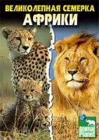    / Discovery: Africa's Super Seven (2006)