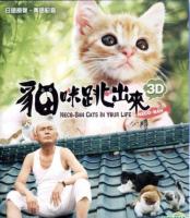     / Cats In Your Life / Neco Ban (2011)